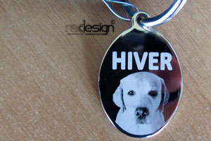 Χαρακτική σε Ταυτότητα Σκύλου